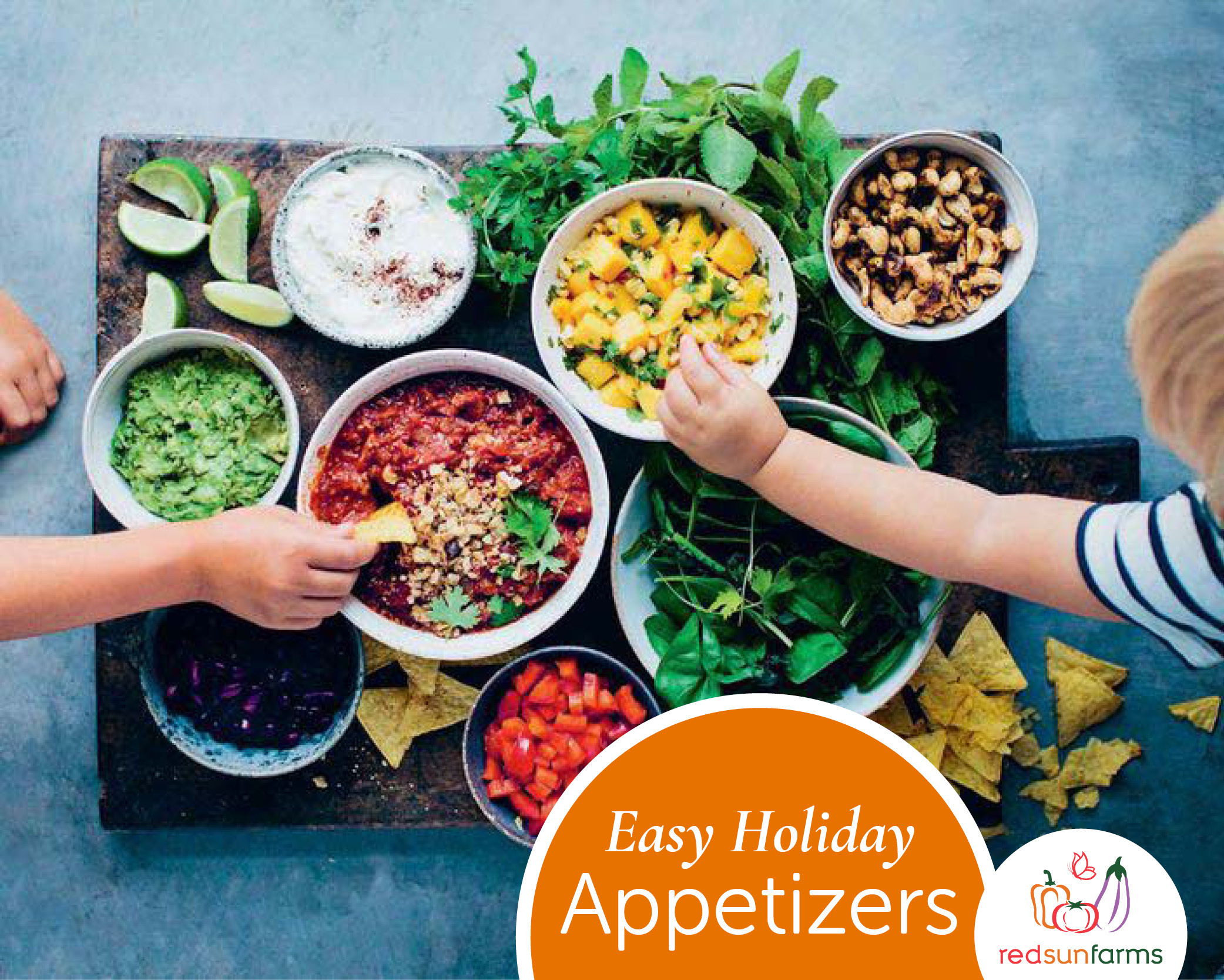 Easy Holiday Appetizers